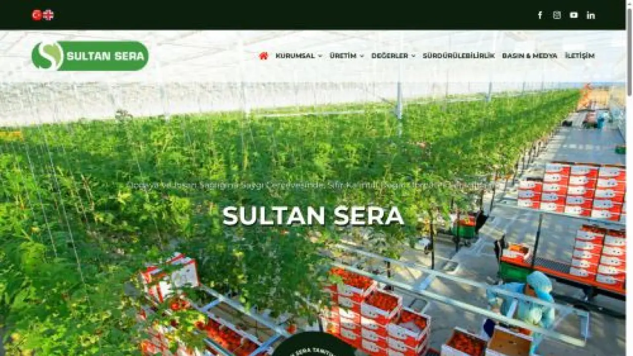 Jeotermal Seracılık - Sultan Sera