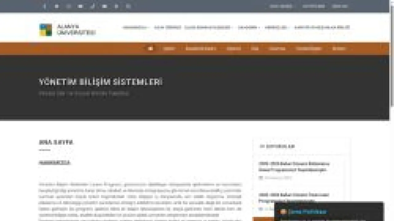 Yönetim Bilişim Sistemleri