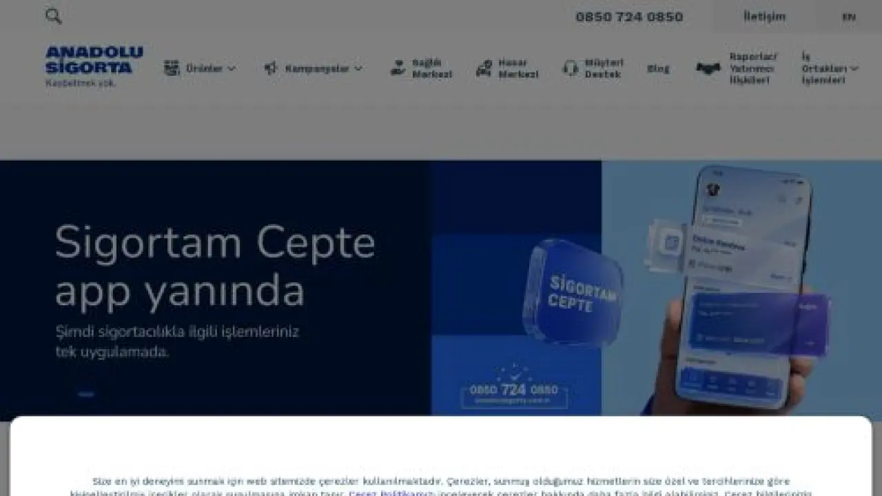 Kaybetmek Yok - Anadolu Sigorta