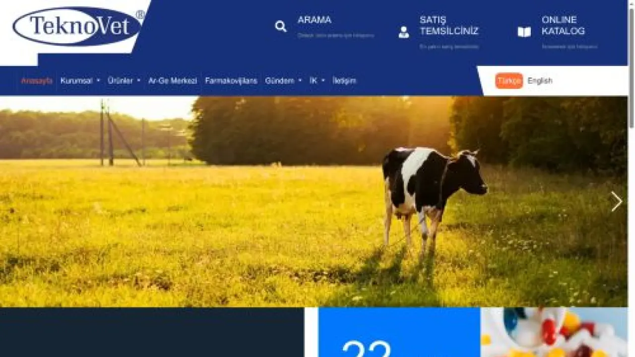 Teknovet