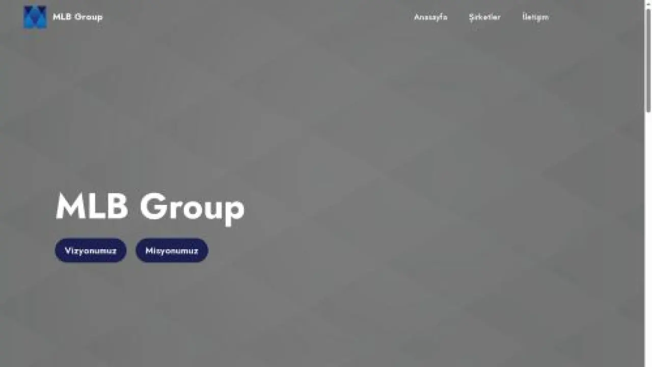 MLB Group