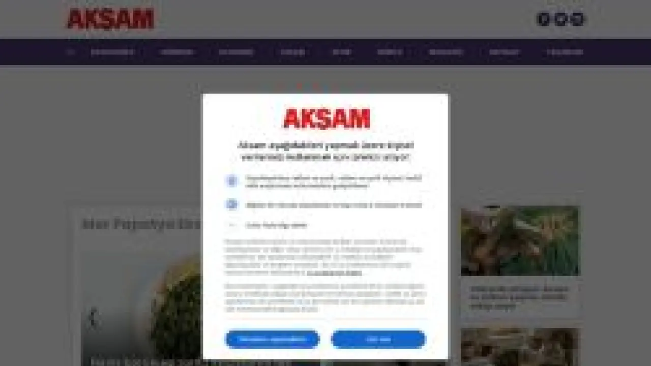 Kadın sağlık astroloji ve yemek tariflerine dair her şey Mor Papatya Ekstra'da | Akşam