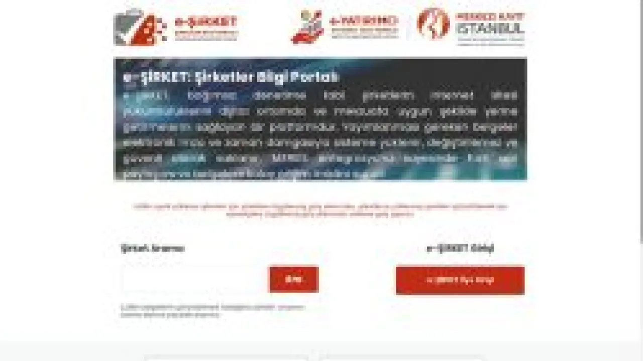 e-ŞİRKET
