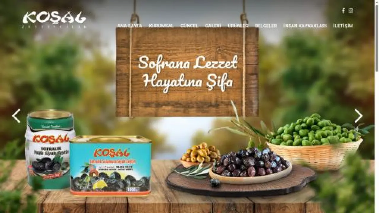 Yetişal Gıda - Koşal Zeytincilik