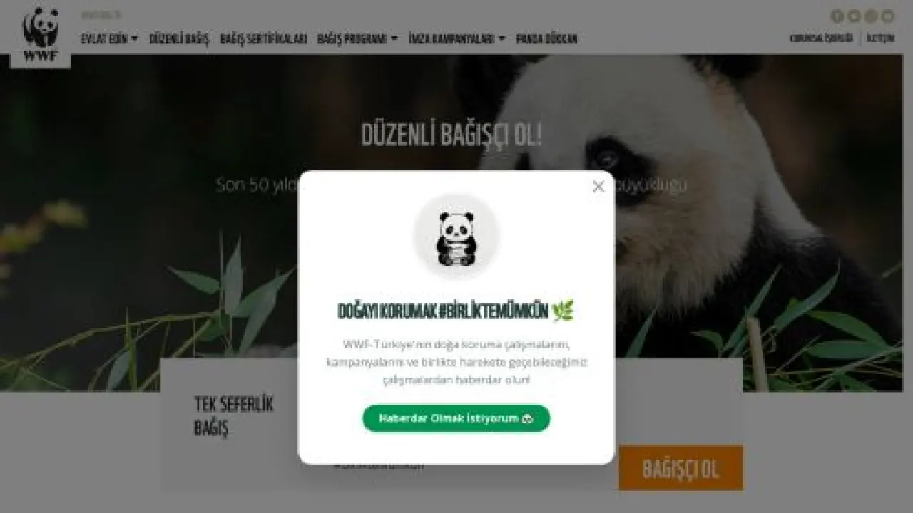 DENİZ KAPLUMBAĞASI