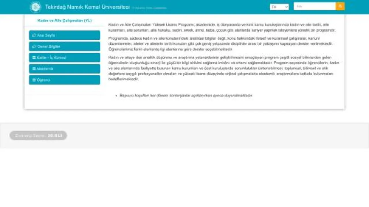 Kadın ve Aile Çalışmaları (YL)