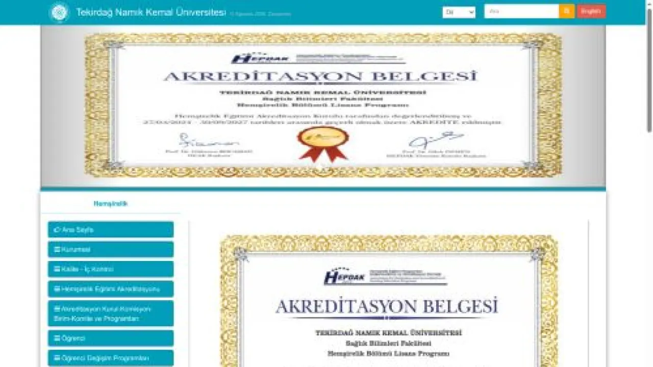 Hemşirelik