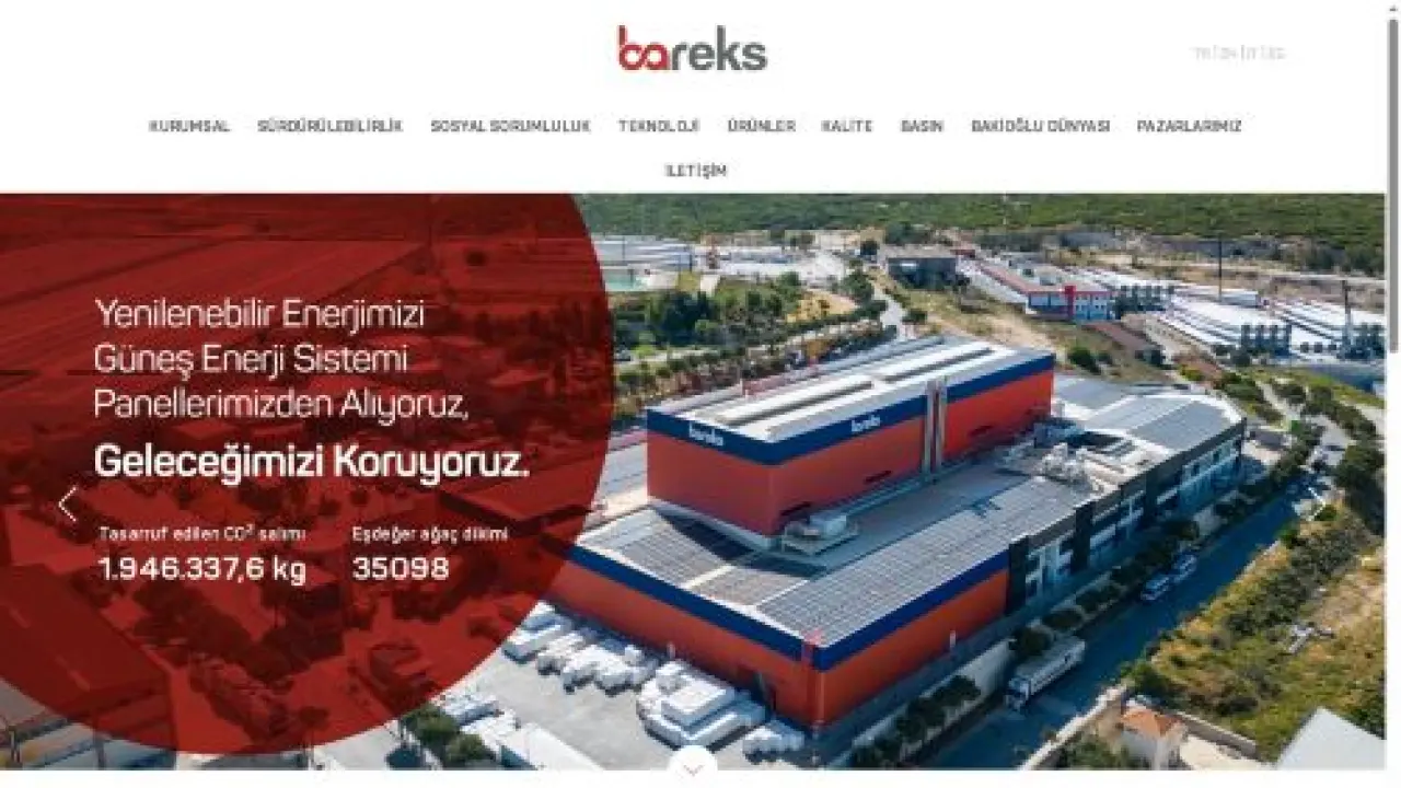 Bareks