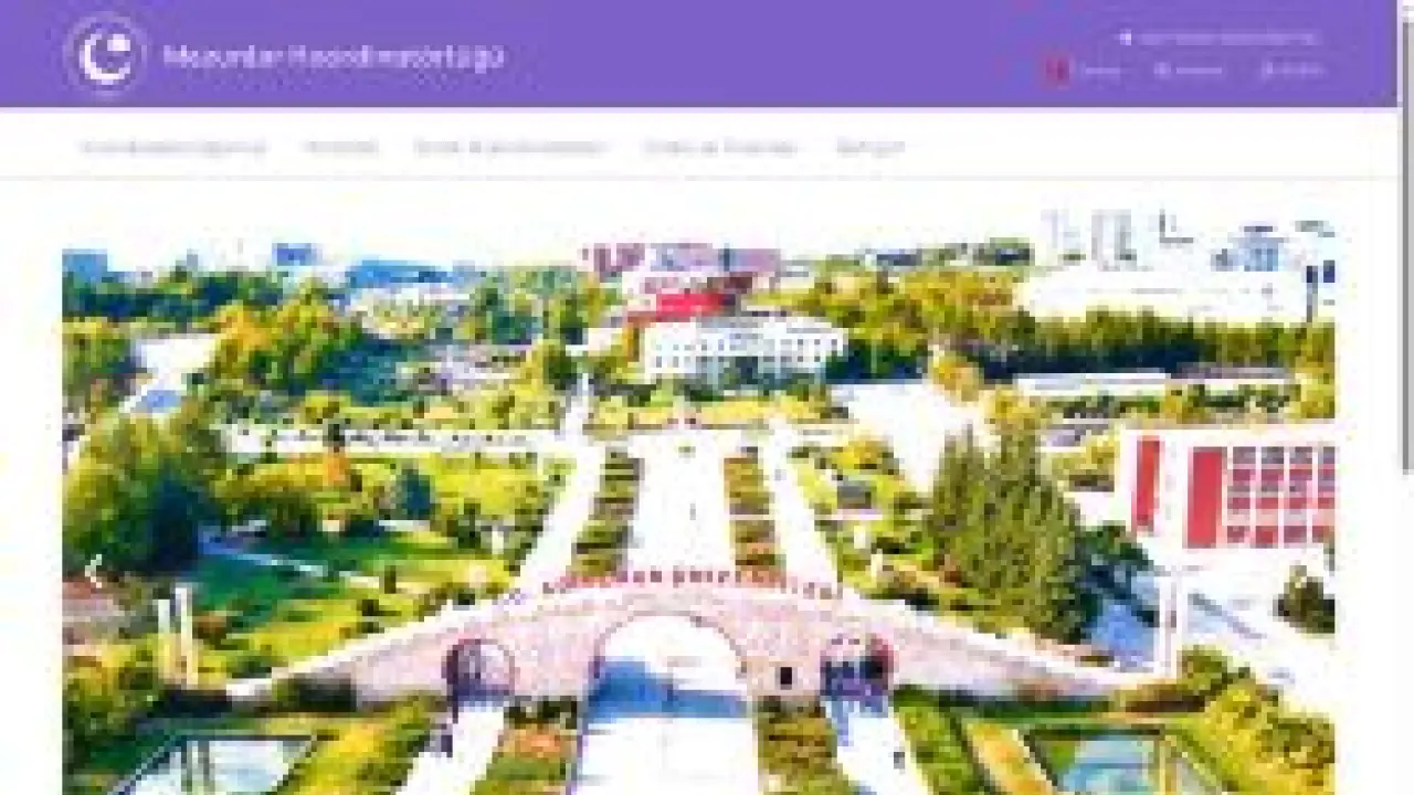 Mezunlar Koordinatörlüğü | ADYÜ